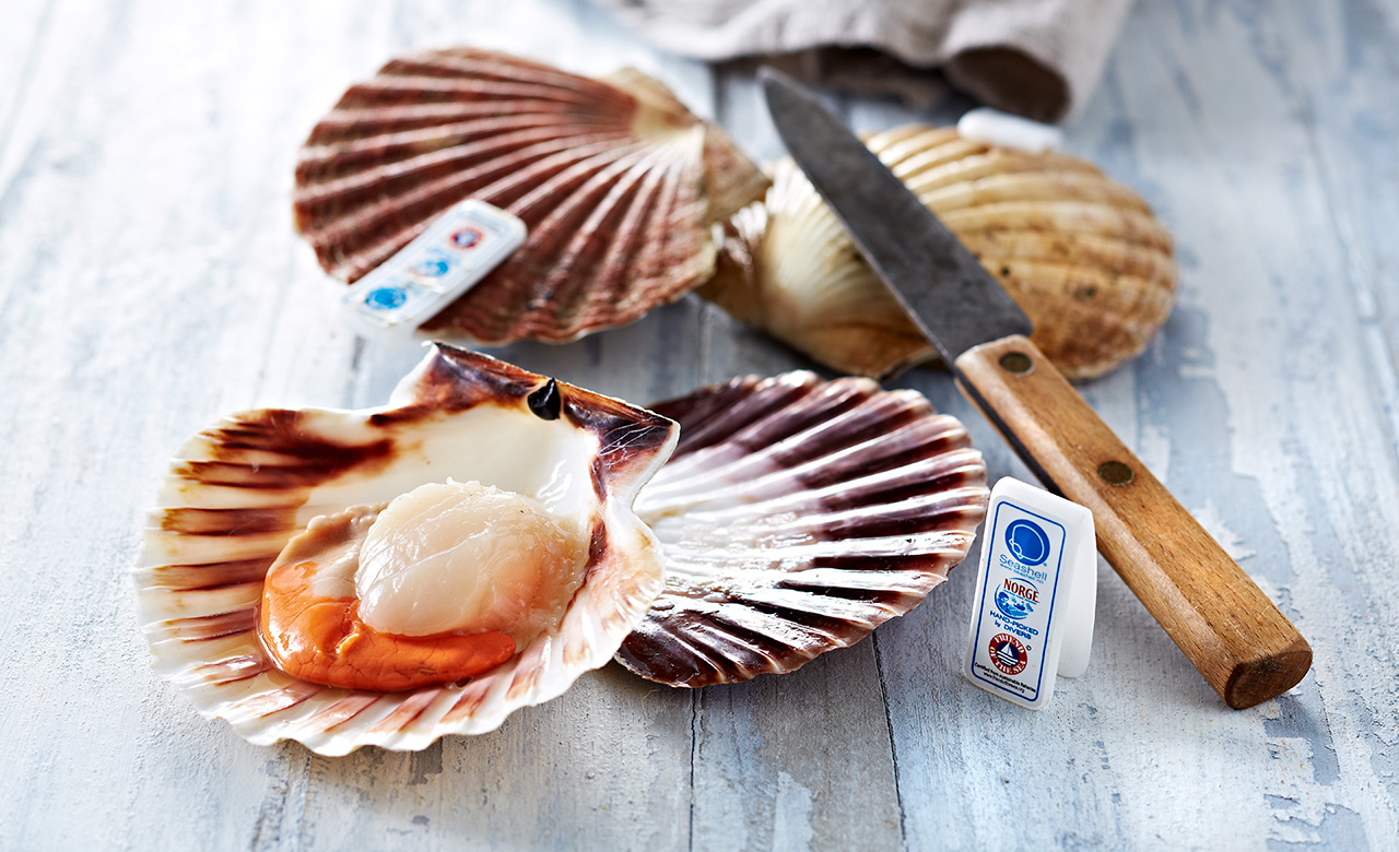 Stegte kammuslinger m. svampe