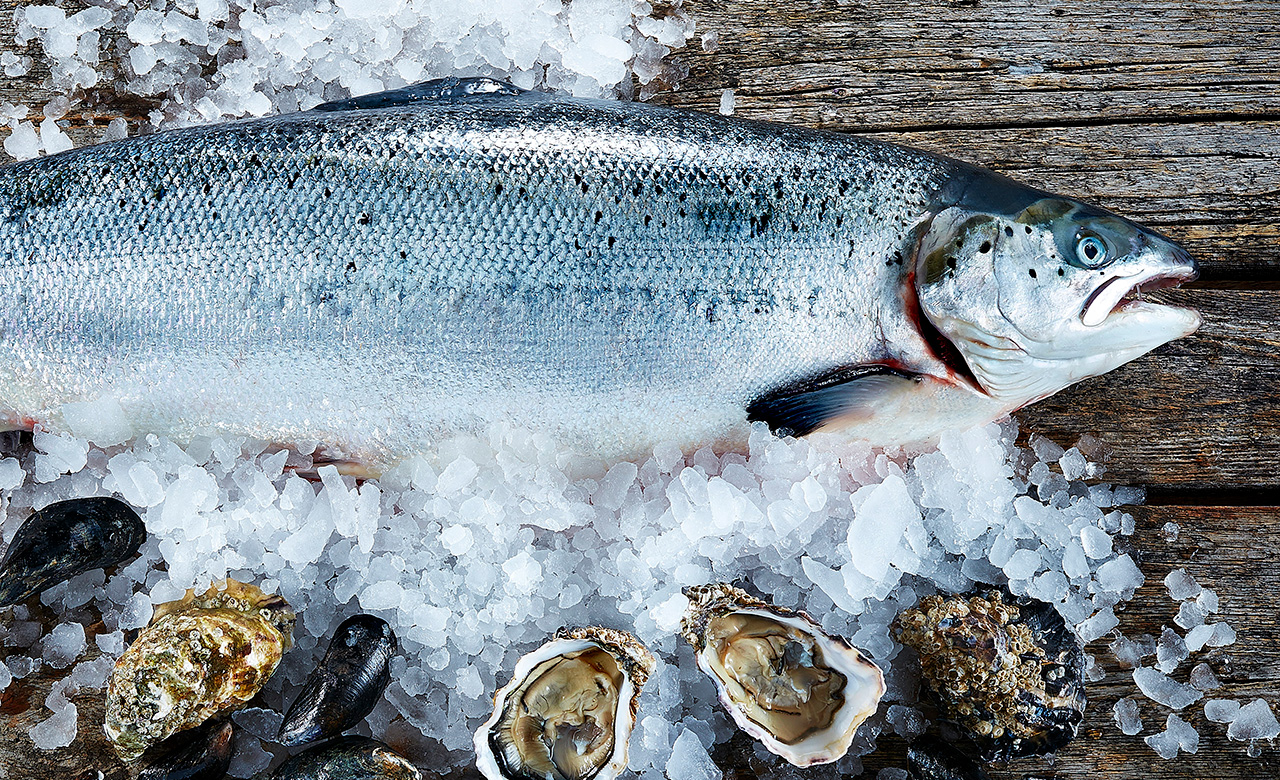 Laksetatar med østers